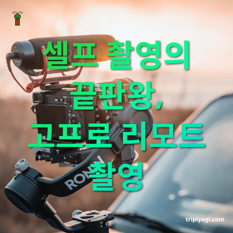 여행 브이로그 촬영 장비 - 스마트폰과의 완벽한 호환 여행 브이로그 촬영 장비 스마트폰과의 완벽한 호환 관련 이미지