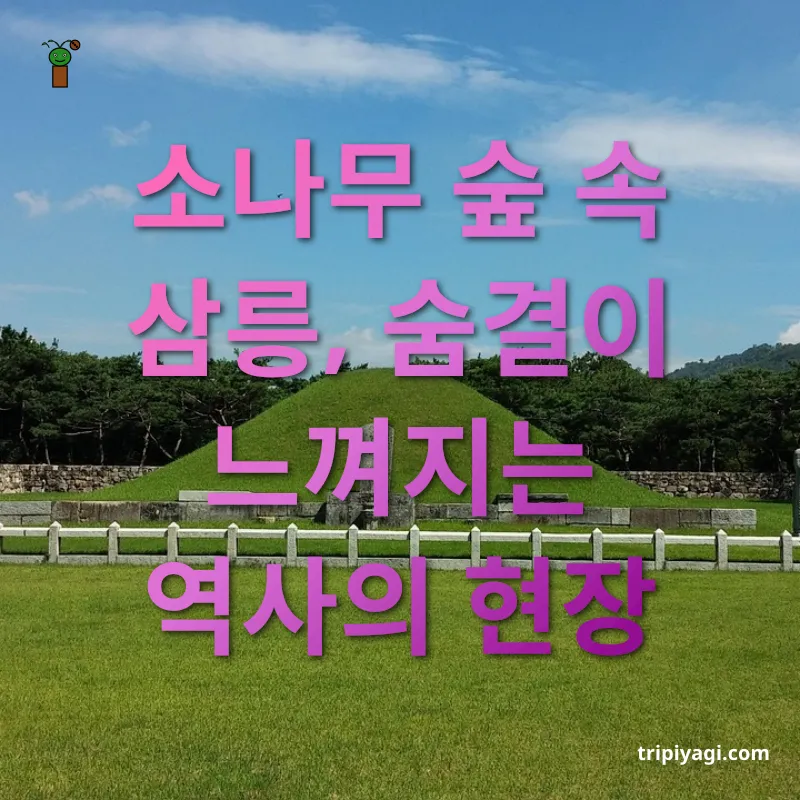 신라 왕릉 답사 누대에 걸친 신라의 왕들이 잠든 삼릉 관련 이미지
