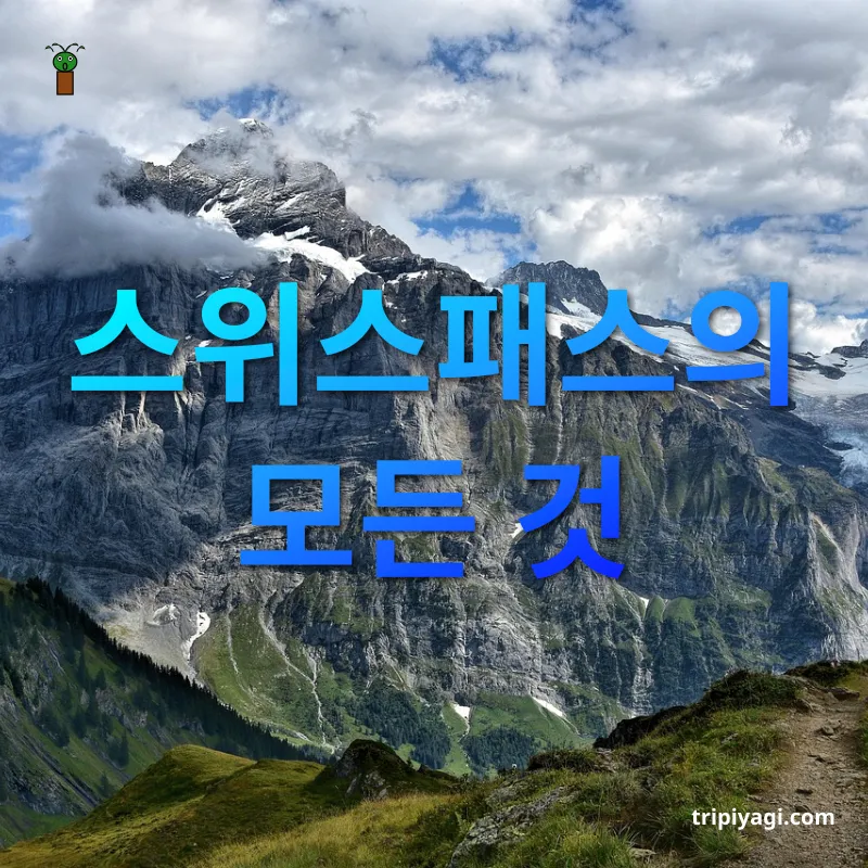 스위스 여행 - 스위스패스의 혜택 스위스 여행 스위스패스의 혜택 관련 이미지