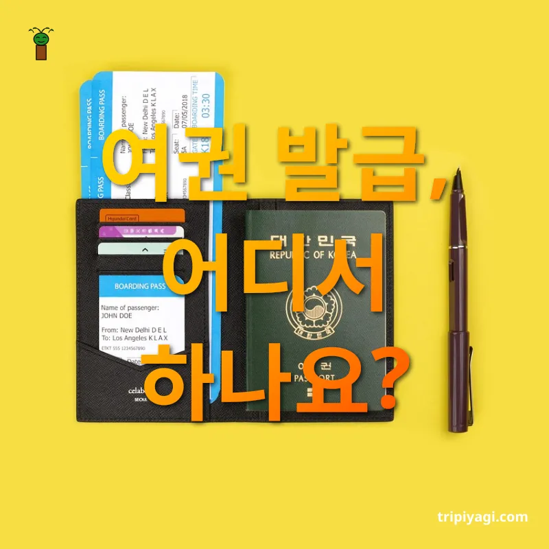 여권 발급과 관리 - 주소지와 무관하게 가까운 시청이나 구청 방문 여권 발급과 관리 주소지와 무관하게 가까운 시청이나 구청 방문 관련 이미지
