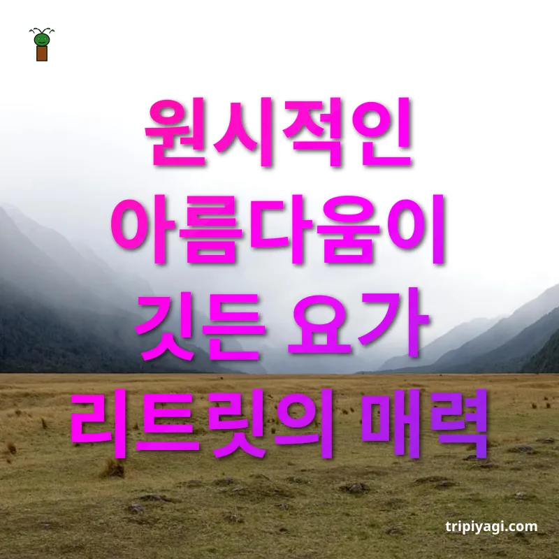 힐링 여행 발리 그린 요가 리트릿의 독특한 특징 관련 이미지