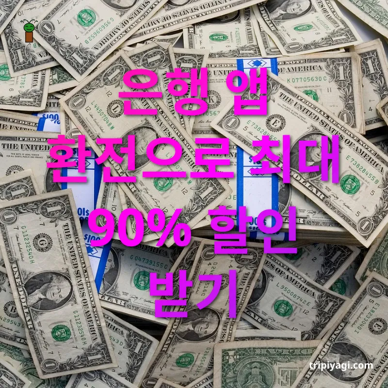 해외여행 환전 꿀팁 실시간 환율 확인하고 미리 예약하기 관련 이미지