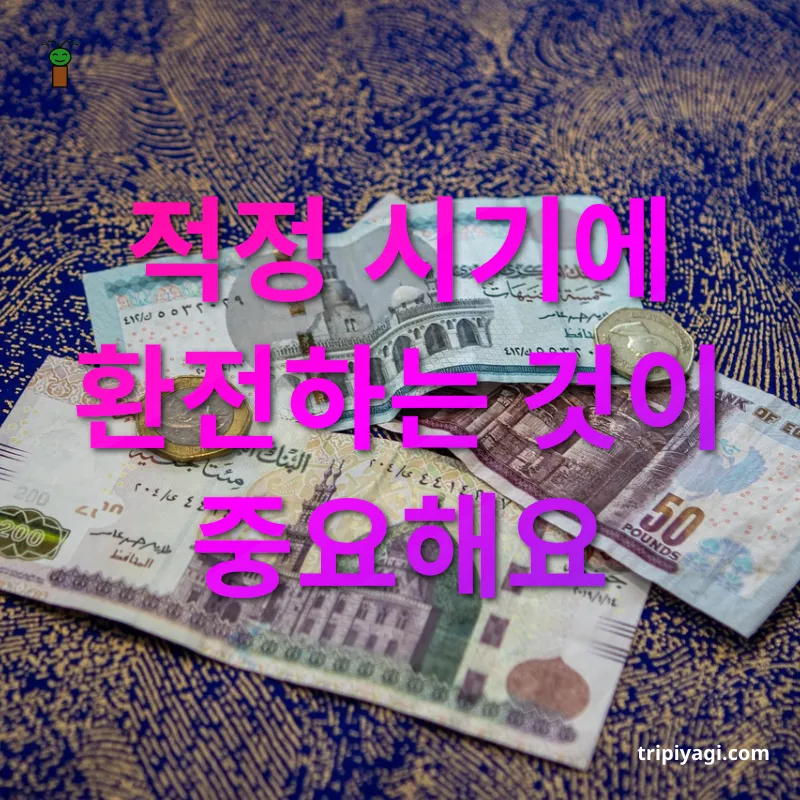 남은 외화 활용법 환전할 때 주의해야 할 점 관련 이미지