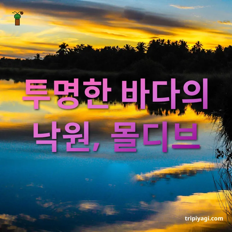 신혼여행 여행지 - 특별한 휴양지, 몰디브 신혼여행 여행지 특별한 휴양지, 몰디브 관련 이미지