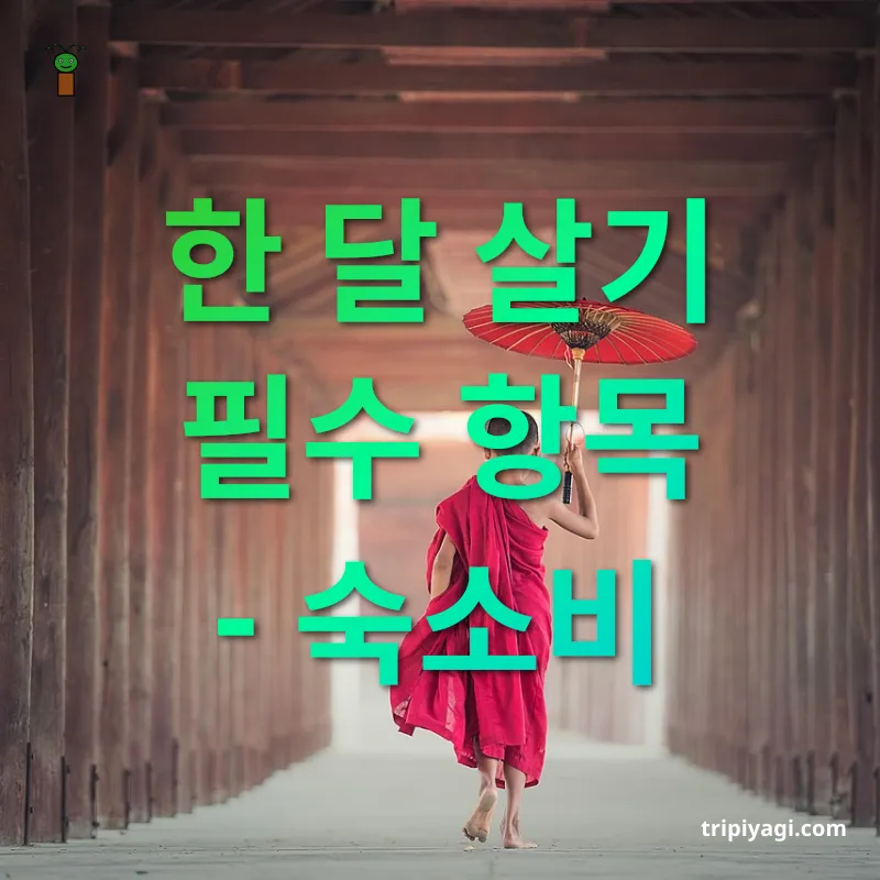 동남아 장기체류 비용 - 원룸부터 중급 아파트까지 다양한 선택 동남아 장기체류 비용 원룸부터 중급 아파트까지 다양한 선택 관련 이미지