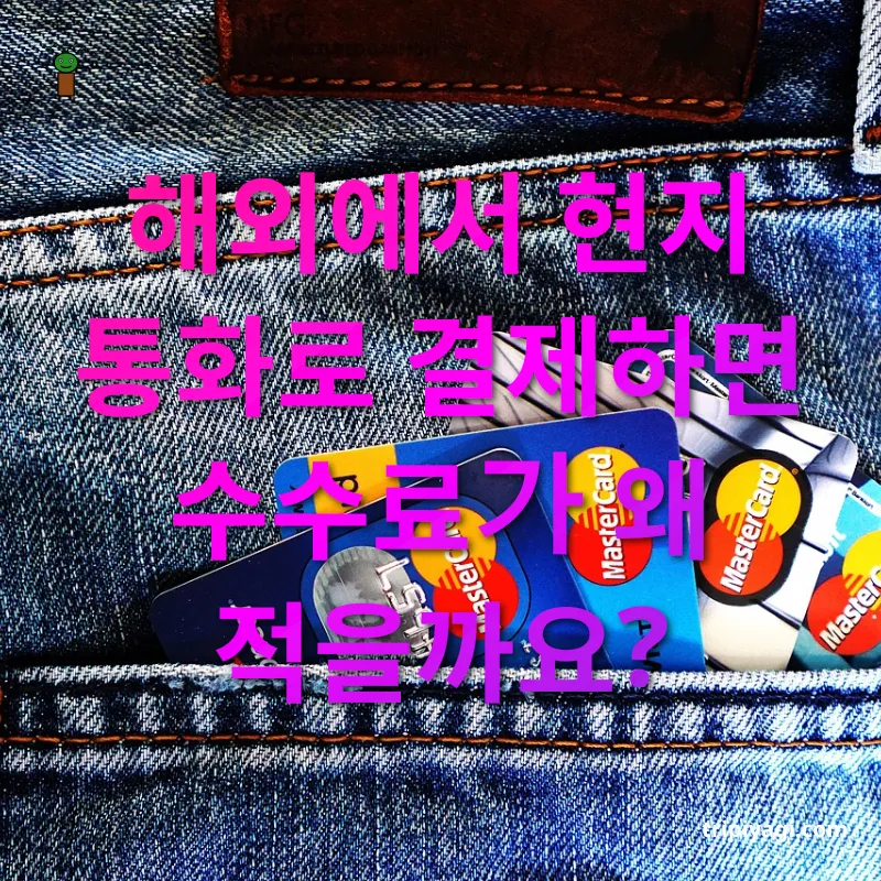 해외 카드 결제 수수료 - 환전 수수료 절감 해외 카드 결제 수수료 환전 수수료 절감 관련 이미지
