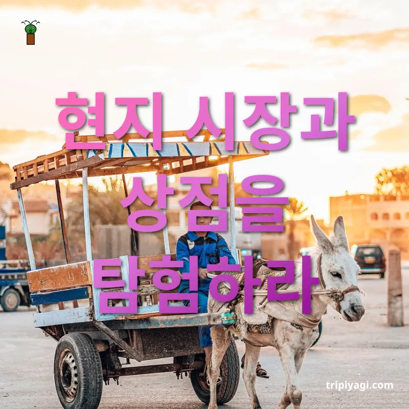 현지인처럼 여행하기 - 문화와 생활을 엿보는 시장 탐방 현지인처럼 여행하기 문화와 생활을 엿보는 시장 탐방 관련 이미지