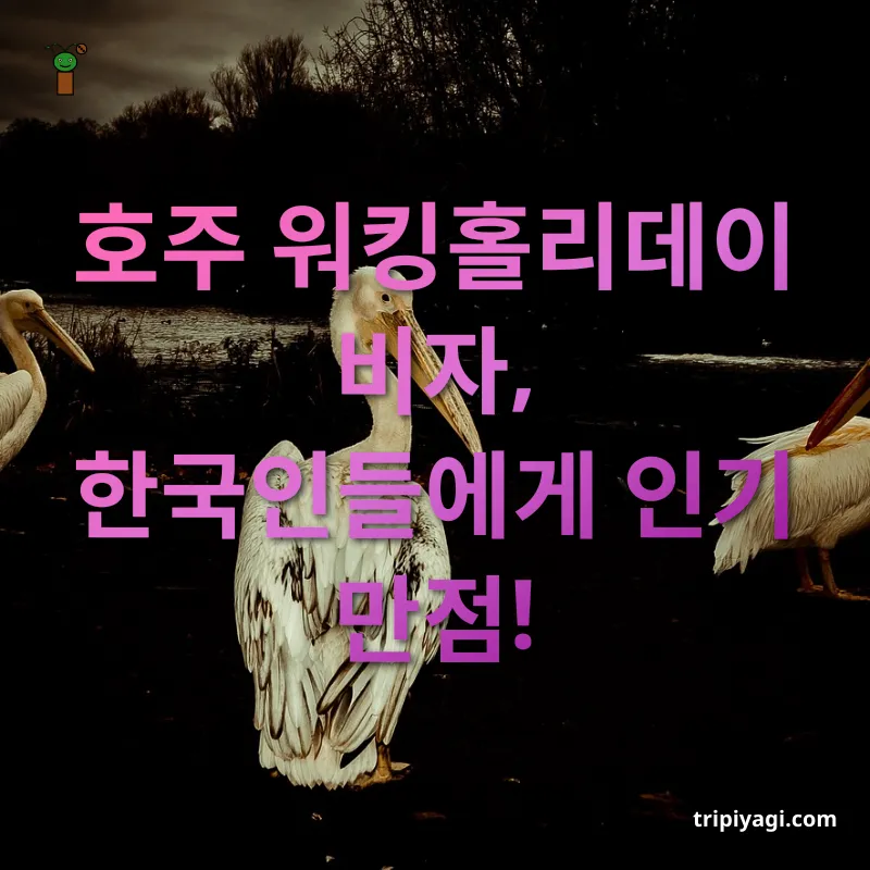 호주 워킹홀리데이 - 만 18세부터 30세까지 신청 가능 호주 워킹홀리데이 만 18세부터 30세까지 신청 가능 관련 이미지