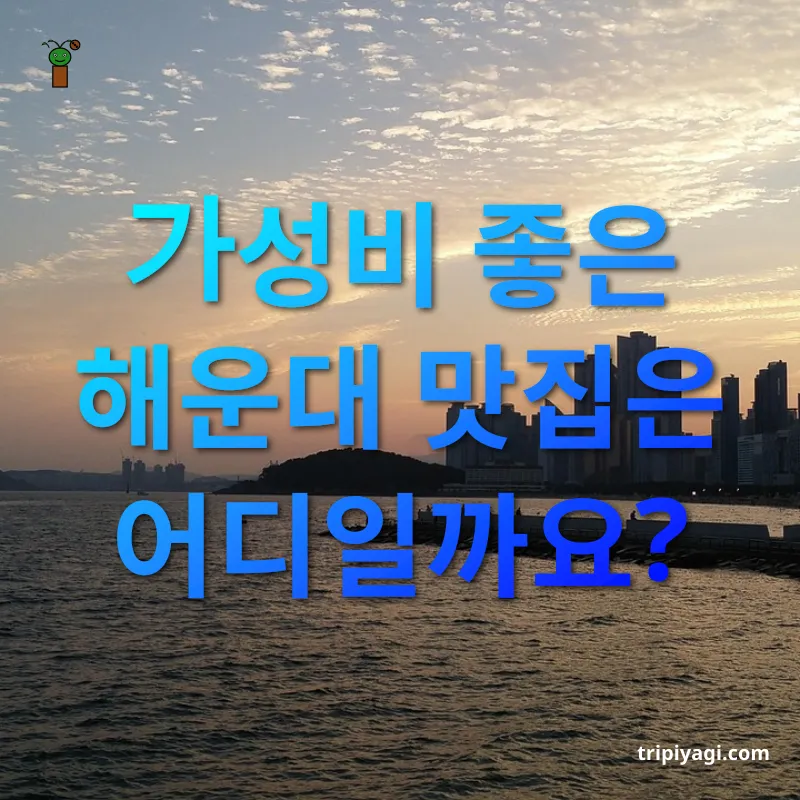 부산 해운대 맛집 - 가성비 좋은 해운대 맛집은 어디일까요? 부산 해운대 맛집 가성비 좋은 해운대 맛집은 어디일까요? 관련 이미지