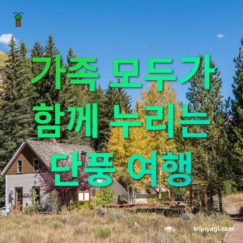 단풍 여행지 탐험 - 가족 모두가 함께 누리는 단풍 여행 단풍 여행지 탐험 가족 모두가 함께 누리는 단풍 여행 관련 이미지