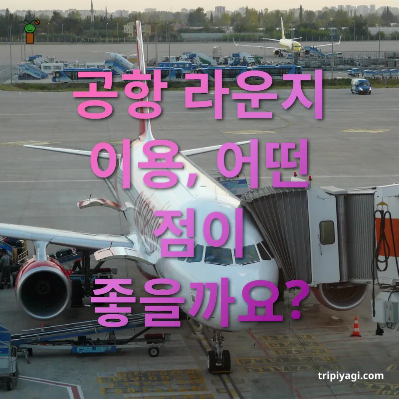 공항 라운지 무료 이용 - 공항 라운지 이용, 어떤 점이 좋을까요? 공항 라운지 무료 이용 공항 라운지 이용, 어떤 점이 좋을까요? 관련 이미지