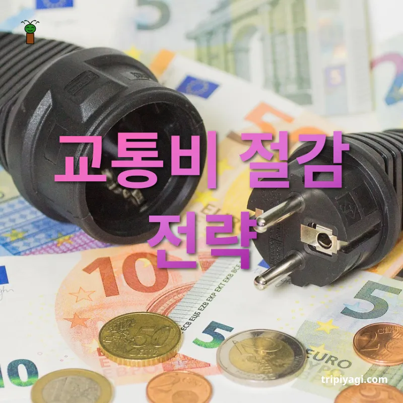 여행 비용 절감 - 교통비 절감 전략 여행 비용 절감 교통비 절감 전략 관련 이미지