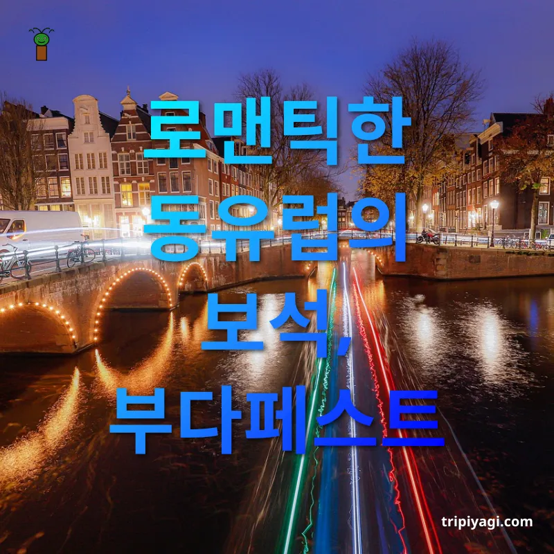 야경 여행 로맨틱한 동유럽의 보석, 부다페스트 관련 이미지