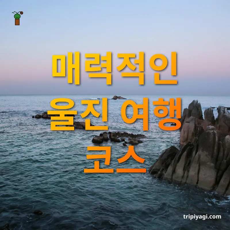 동해 여행 매력적인 울진 여행 코스 관련 이미지