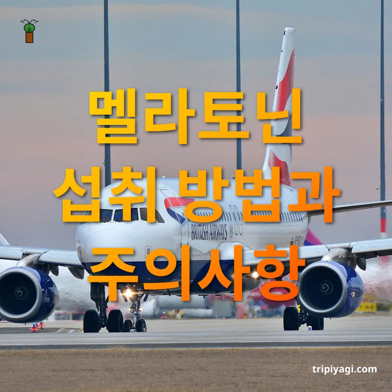 해외여행 시차적응 - 멜라토닌 섭취 방법과 주의사항 해외여행 시차적응 멜라토닌 섭취 방법과 주의사항 관련 이미지
