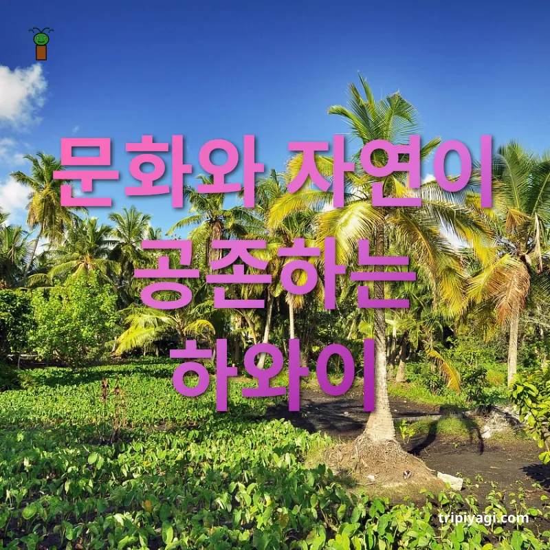 신혼여행 여행지 - 문화와 자연이 공존하는 하와이 신혼여행 여행지 문화와 자연이 공존하는 하와이 관련 이미지