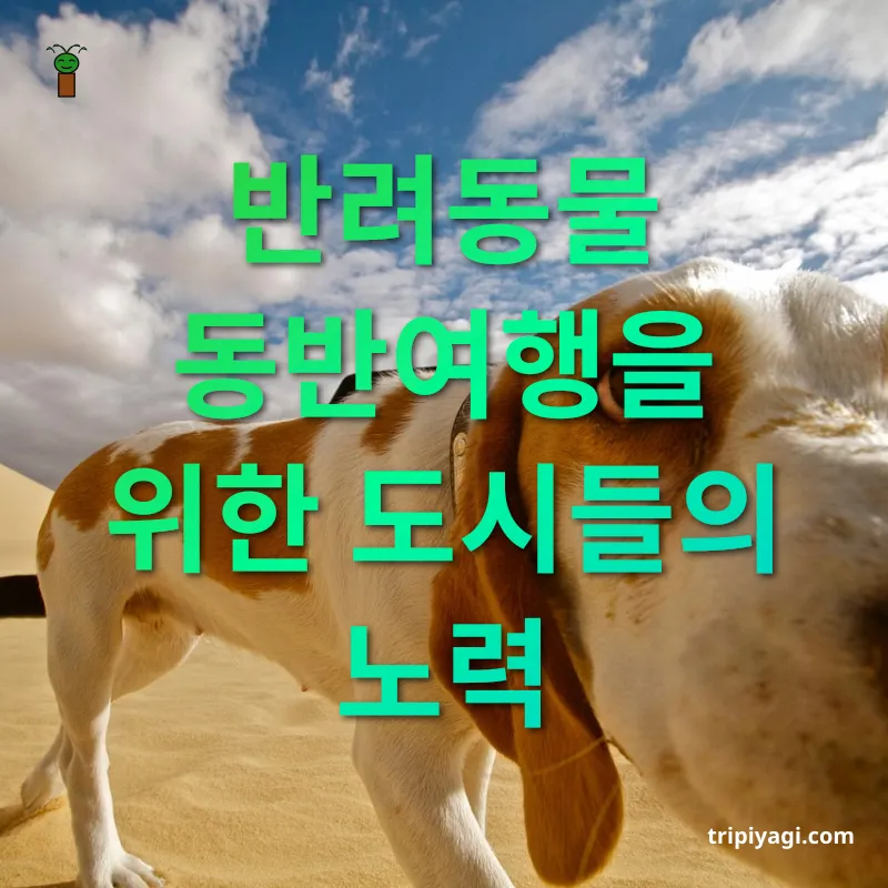 반려동물 동반여행 반려동물 동반여행을 위한 도시들의 노력 관련 이미지