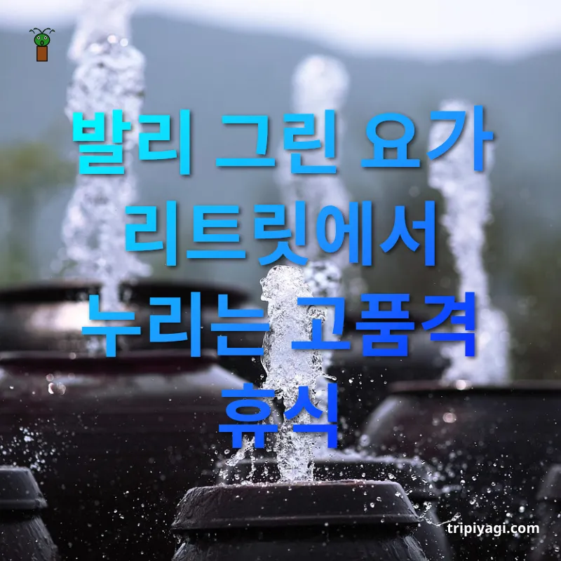 힐링 여행 발리 그린 요가 리트릿에서 누리는 고품격 휴식 관련 이미지