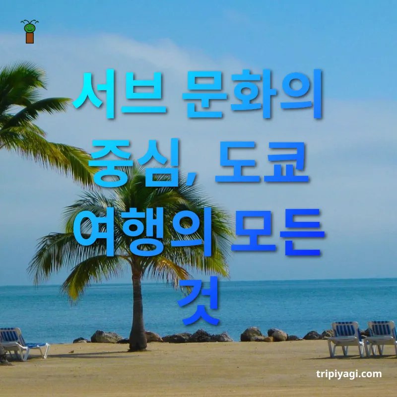 주말 해외여행 - 서브 문화의 중심, 도쿄 여행의 모든 것 주말 해외여행 서브 문화의 중심, 도쿄 여행의 모든 것 관련 이미지