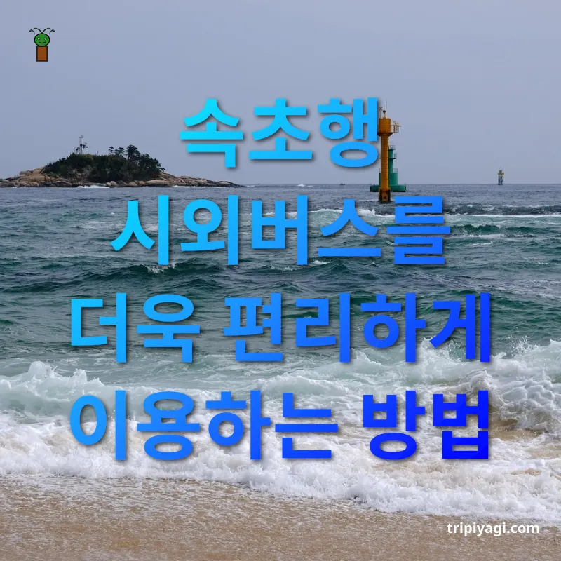 서울에서 속초 여행하기 - 속초행 시외버스를 더욱 편리하게 이용하는 방법 서울에서 속초 여행하기 속초행 시외버스를 더욱 편리하게 이용하는 방법 관련 이미지