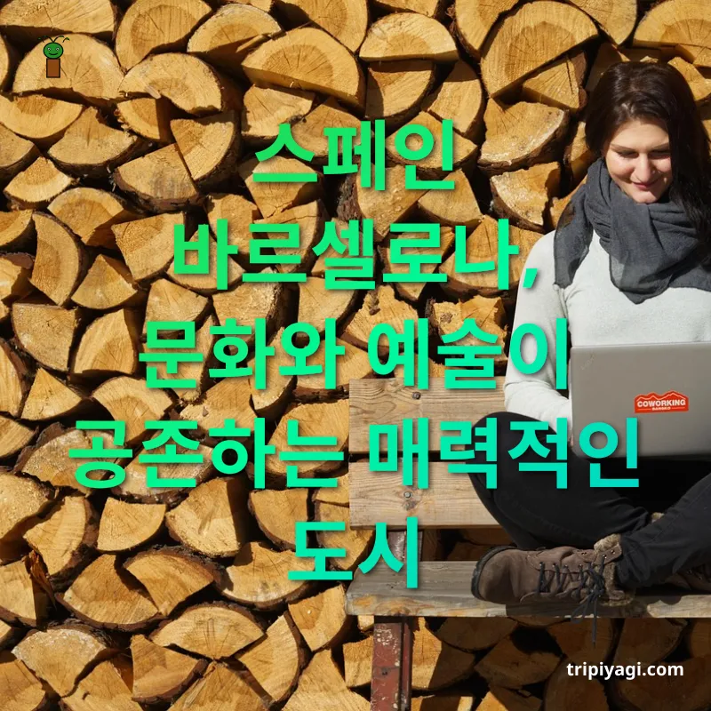 디지털 노마드 - 스페인 바르셀로나, 문화와 예술이 공존하는 매력적인 도시 디지털 노마드 스페인 바르셀로나, 문화와 예술이 공존하는 매력적인 도시 관련 이미지