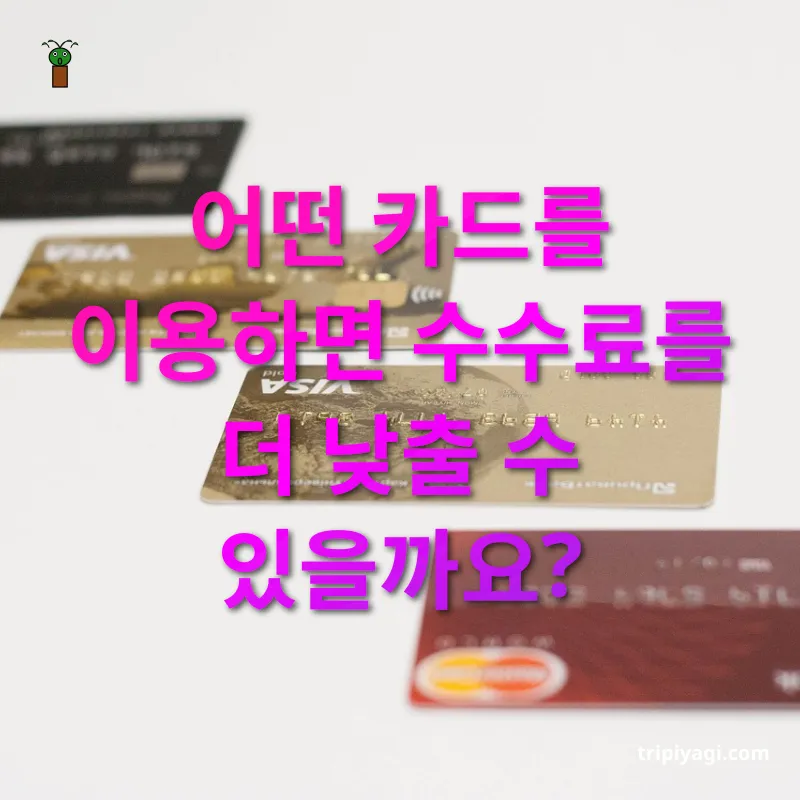 해외 카드 결제 수수료 - 어떤 카드를 이용하면 수수료를 더 낮출 수 있을까요? 해외 카드 결제 수수료 어떤 카드를 이용하면 수수료를 더 낮출 수 있을까요? 관련 이미지