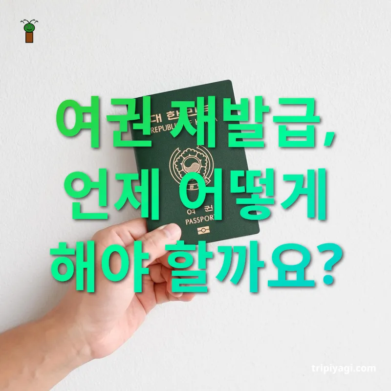 여권 발급과 관리 - 여권 재발급, 언제 어떻게 해야 할까요? 여권 발급과 관리 여권 재발급, 언제 어떻게 해야 할까요? 관련 이미지