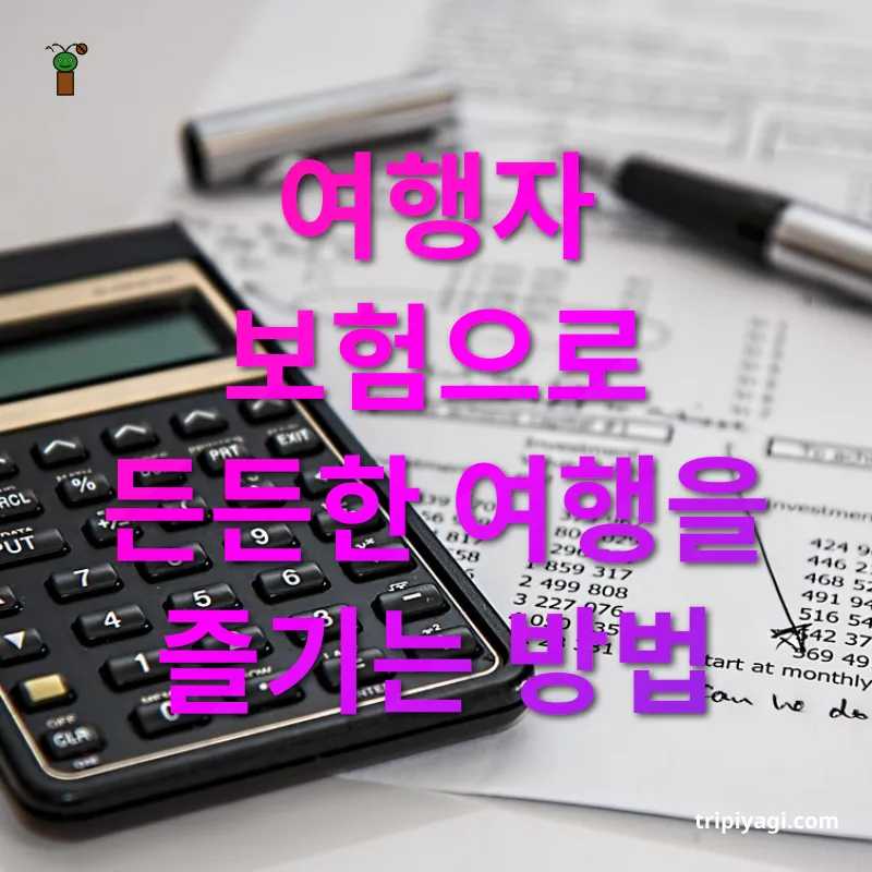 여행자 보험 여행자 보험으로 든든한 여행을 즐기는 방법 관련 이미지