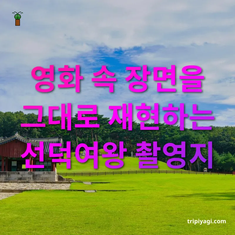 신라 왕릉 답사 영화 속 장면을 그대로 재현하는 선덕여왕 촬영지 관련 이미지
