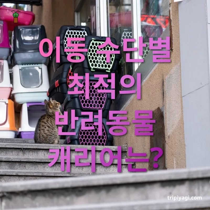 반려동물 여행 캐리어 - 이동 수단별 최적의 반려동물 캐리어는? 반려동물 여행 캐리어 이동 수단별 최적의 반려동물 캐리어는? 관련 이미지