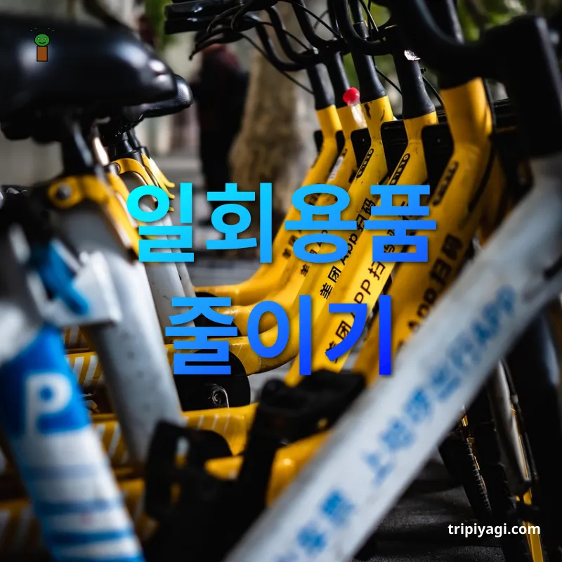 지속 가능한 여행 - 일회용품 줄이기 지속 가능한 여행 일회용품 줄이기 관련 이미지