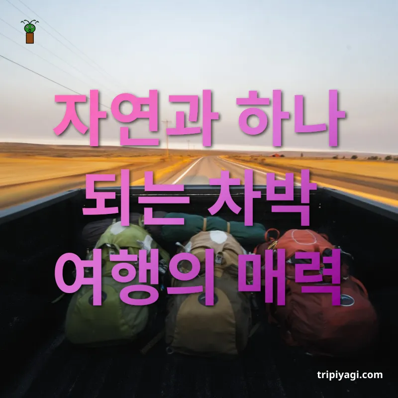 차박 여행 - 자연과 하나 되는 차박 여행의 매력 차박 여행 자연과 하나 되는 차박 여행의 매력 관련 이미지