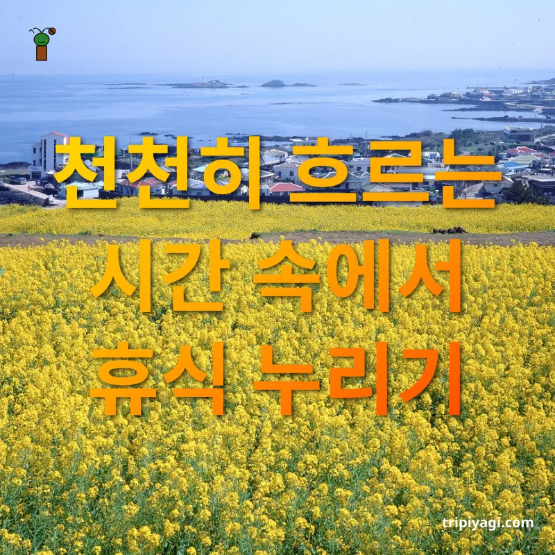 제주 힐링 여행 천천히 흐르는 시간 속에서 휴식 누리기 관련 이미지