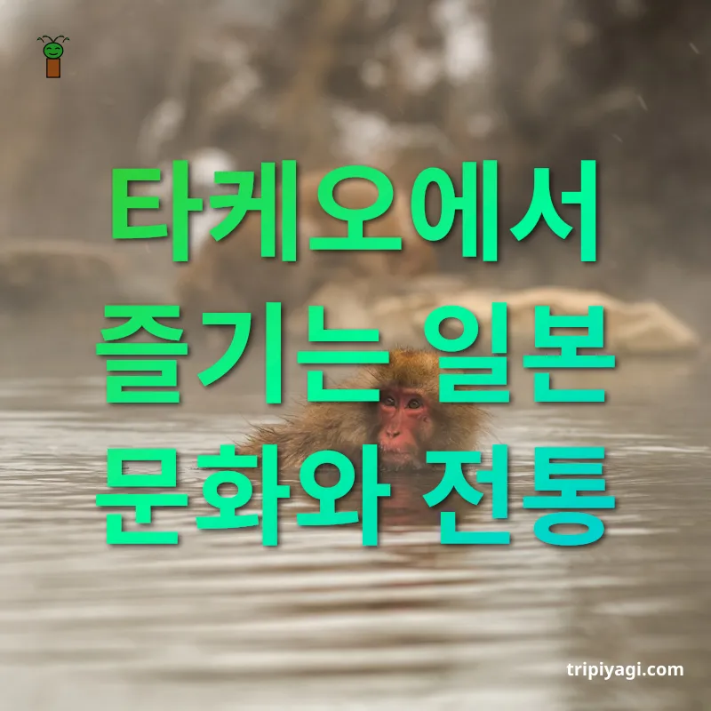 일본 온천 여행 - 타케오에서 즐기는 일본 문화와 전통 일본 온천 여행 타케오에서 즐기는 일본 문화와 전통 관련 이미지