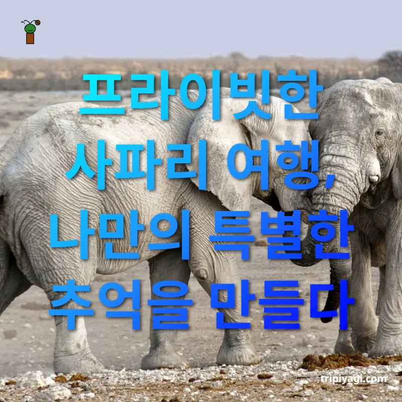 아프리카 사파리 여행 프라이빗한 사파리 여행, 나만의 특별한 추억을 만들다 관련 이미지