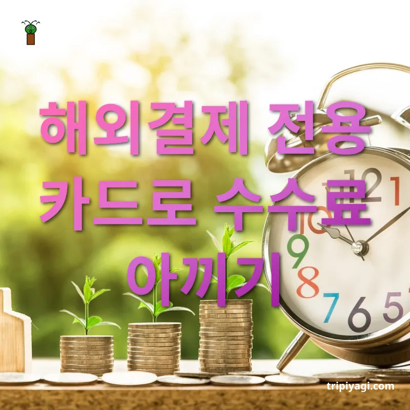 해외여행 환전 꿀팁 해외결제 전용 카드로 수수료 아끼기 관련 이미지