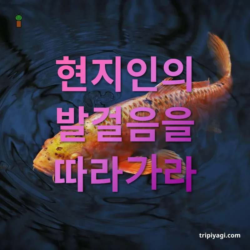 현지인처럼 여행하기 - 현지인의 발걸음을 따라가라 현지인처럼 여행하기 현지인의 발걸음을 따라가라 관련 이미지