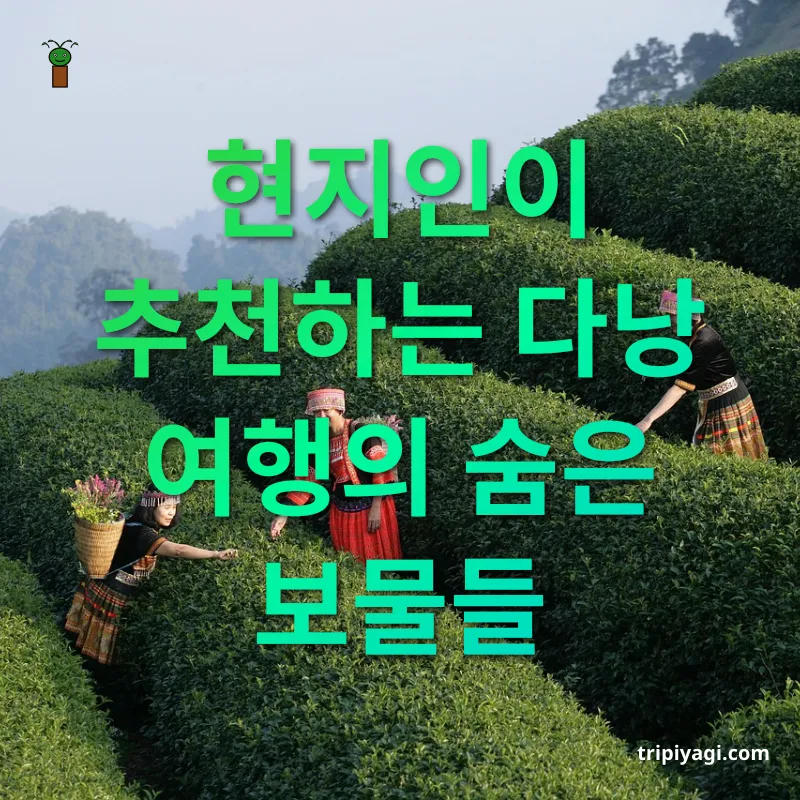 베트남 여행 - 현지인이 추천하는 다낭 여행의 숨은 보물들 베트남 여행 현지인이 추천하는 다낭 여행의 숨은 보물들 관련 이미지