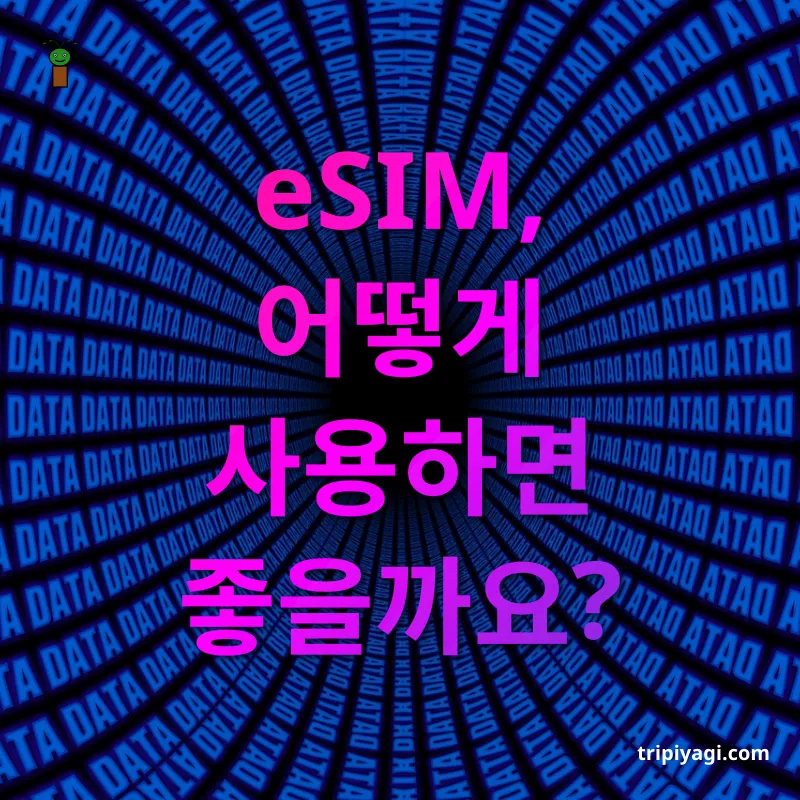 해외 여행 데이터 솔루션 - eSIM, 어떻게 사용하면 좋을까요? 해외 여행 데이터 솔루션 eSIM, 어떻게 사용하면 좋을까요? 관련 이미지