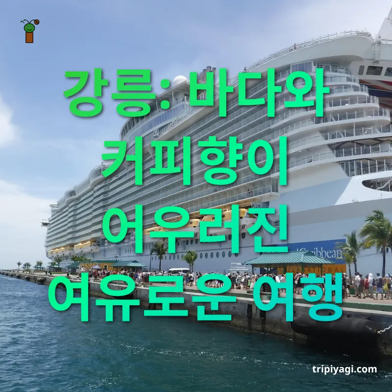 혼자여행의 매력 강릉: 바다와 커피향이 어우러진 여유로운 여행 관련 이미지