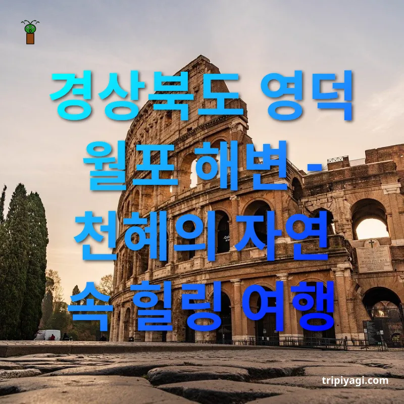 여행지 추천 - 경상북도 영덕 월포 해변 - 천혜의 자연 속 힐링 여행 여행지 추천 경상북도 영덕 월포 해변 - 천혜의 자연 속 힐링 여행 관련 이미지