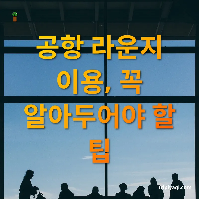 공항 라운지 무료 이용 - 공항 라운지 이용, 꼭 알아두어야 할 팁 공항 라운지 무료 이용 공항 라운지 이용, 꼭 알아두어야 할 팁 관련 이미지