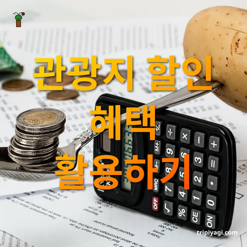 여행 비용 절감 - 관광지 할인 혜택 활용하기 여행 비용 절감 관광지 할인 혜택 활용하기 관련 이미지
