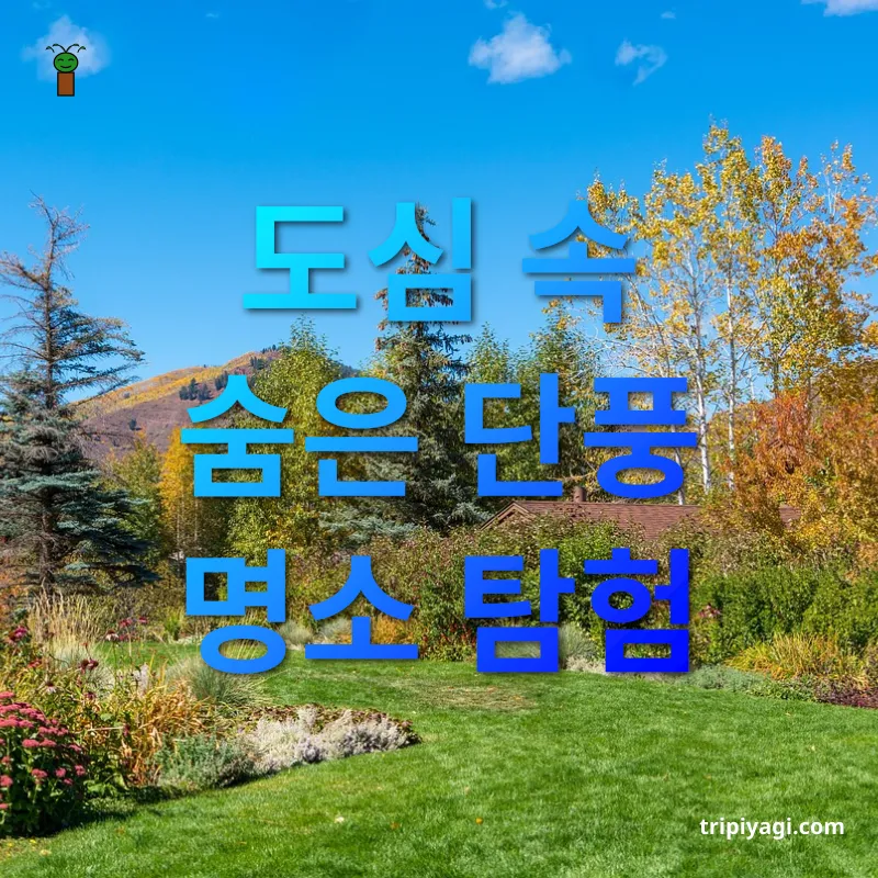 단풍 여행지 탐험 - 도심 속 숨은 단풍 명소 탐험 단풍 여행지 탐험 도심 속 숨은 단풍 명소 탐험 관련 이미지
