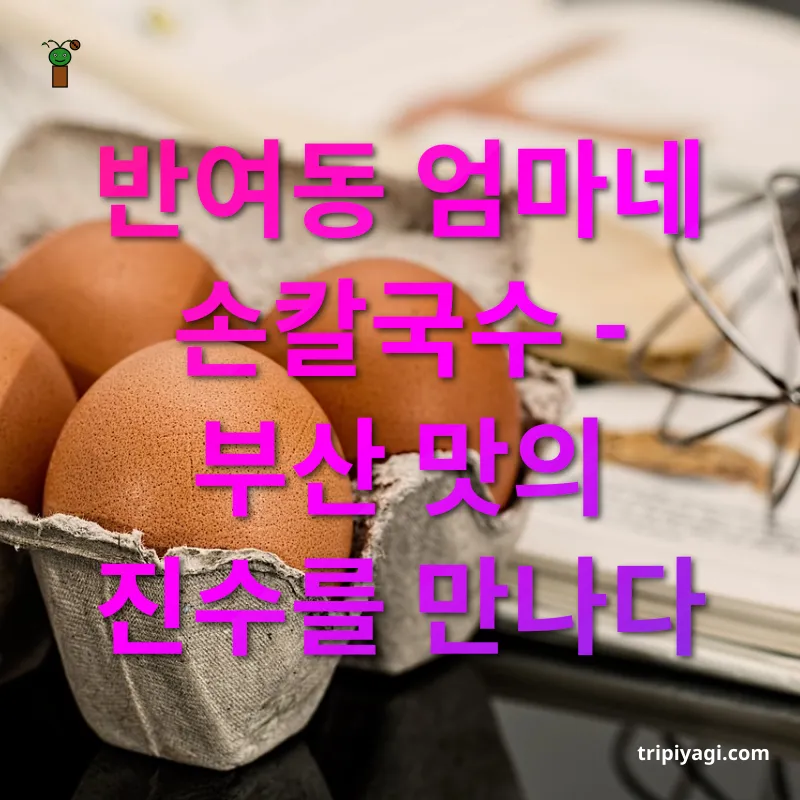 지역 맛집 탐험 반여동 엄마네 손칼국수 - 부산 맛의 진수를 만나다 관련 이미지