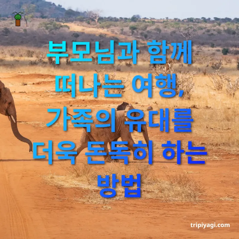 가족 여행 - 부모님과 함께 떠나는 여행, 가족의 유대를 더욱 돈독히 하는 방법 가족 여행 부모님과 함께 떠나는 여행, 가족의 유대를 더욱 돈독히 하는 방법 관련 이미지