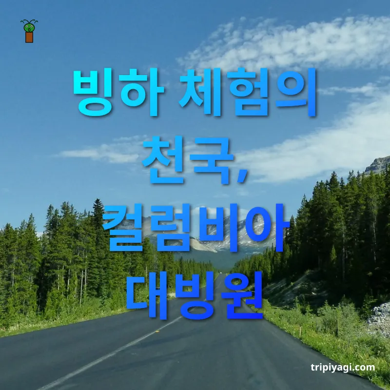 아이스필드 파크웨이 빙하 체험의 천국, 컬럼비아 대빙원 관련 이미지