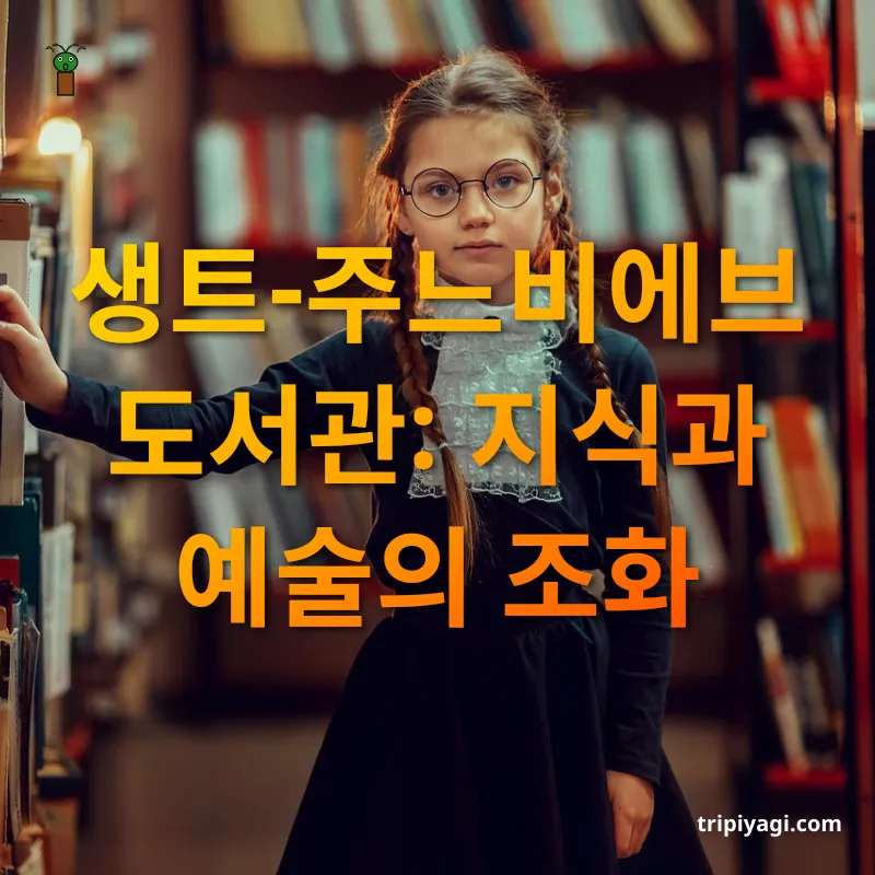 아름다운 도서관 생트-주느비에브 도서관: 지식과 예술의 조화 관련 이미지