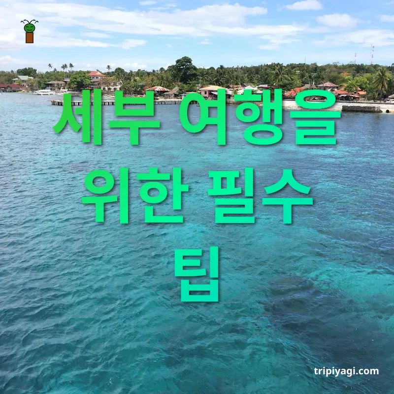 필리핀 세부 여행 - 세부 여행을 위한 필수 팁 필리핀 세부 여행 세부 여행을 위한 필수 팁 관련 이미지