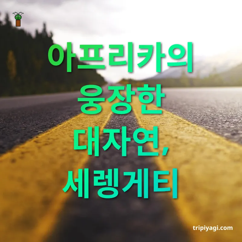 여행지 탐험 - 아프리카의 웅장한 대자연, 세렝게티 여행지 탐험 아프리카의 웅장한 대자연, 세렝게티 관련 이미지